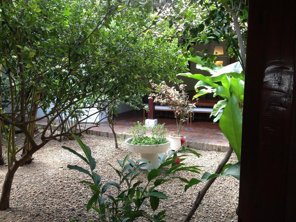 Hotel Portal De La Marquesa Mompós Esterno foto The garden of the house