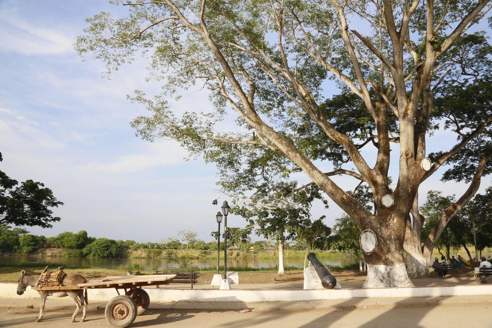 Hotel Portal De La Marquesa Mompós Esterno foto The tree in 2011